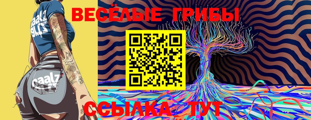 Галлюциногенные грибы Psilocybe Гусиноозёрск
