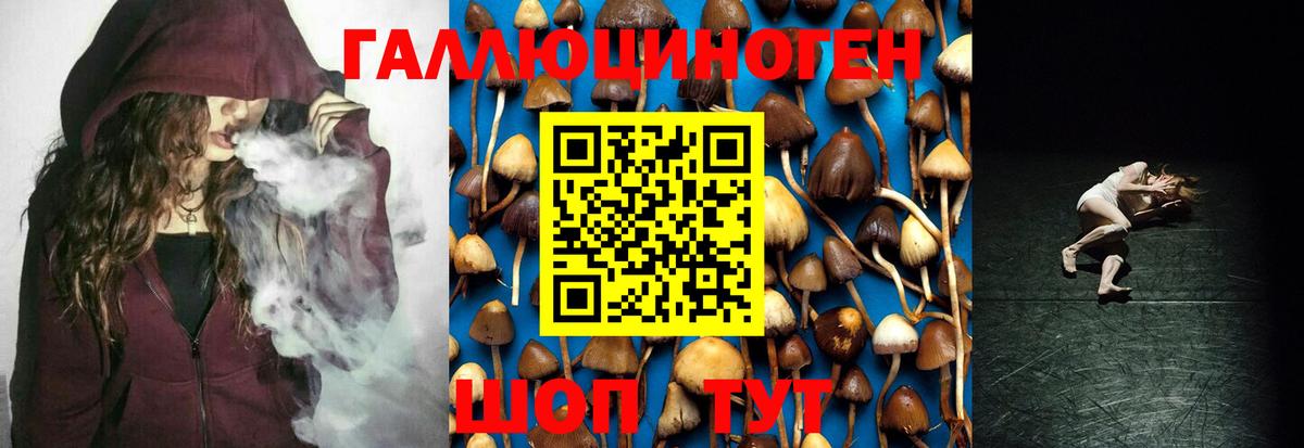 Гусиноозёрск  Галлюциногенные грибы ЛСД  где можно купить наркотик  Вход с VPN 